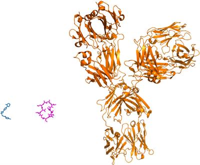 Drug discovery and development: introduction to the general public and patient groups